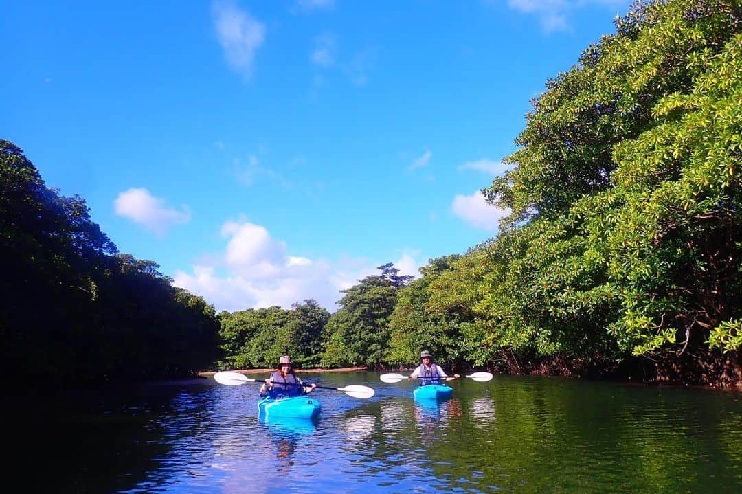 ワシントン・フェラーリさんのインスタグラム写真 - (ワシントン・フェラーリInstagram)「I miss Iriomote Island☺️🛶🐈🌲🌴」6月19日 8時33分 - washingtonferrari