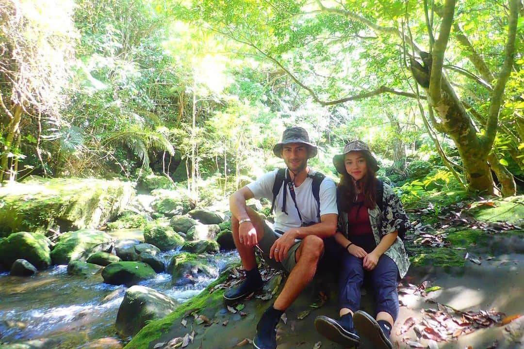 ワシントン・フェラーリのインスタグラム：「I miss Iriomote Island☺️🛶🐈🌲🌴」