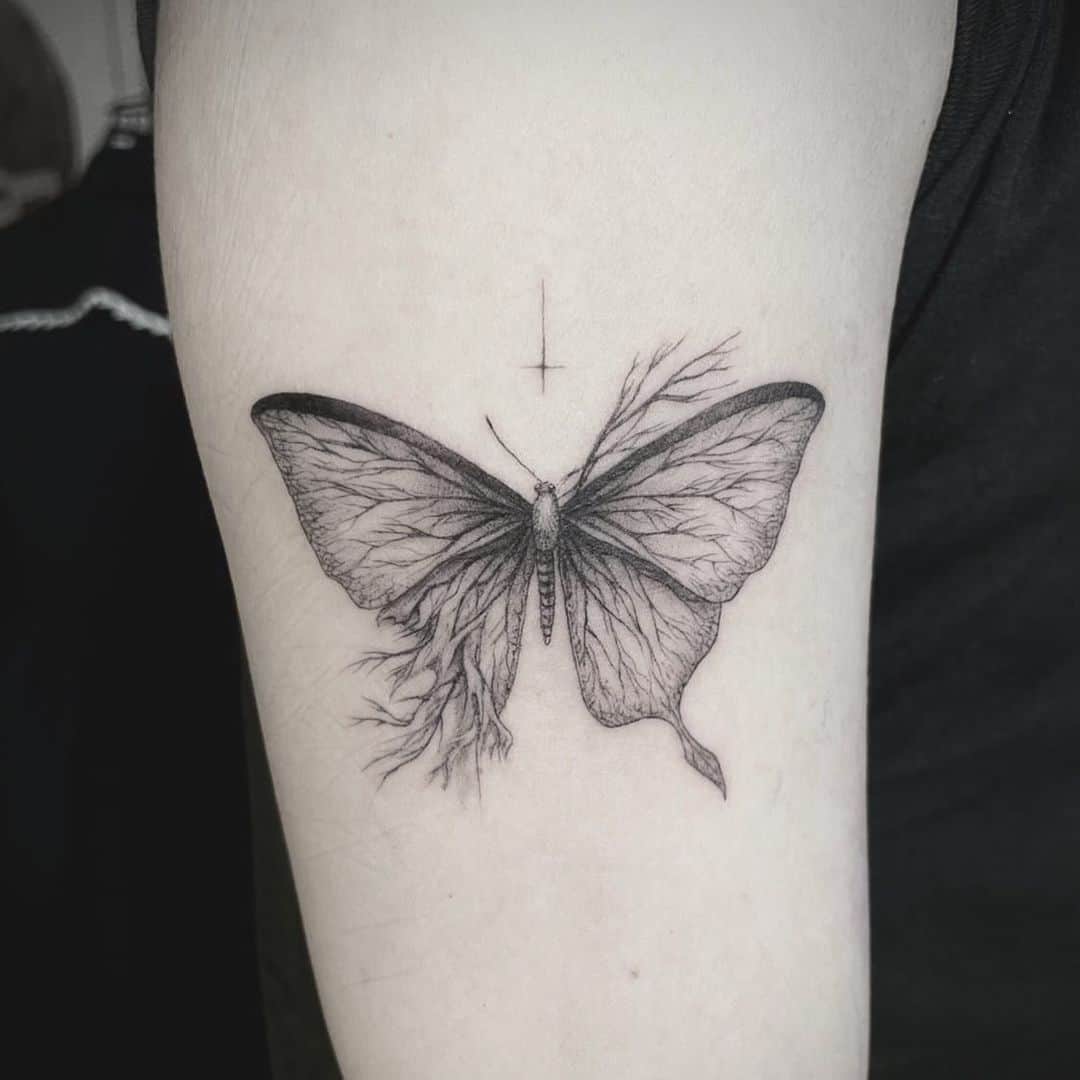 よききのインスタグラム：「🦋」