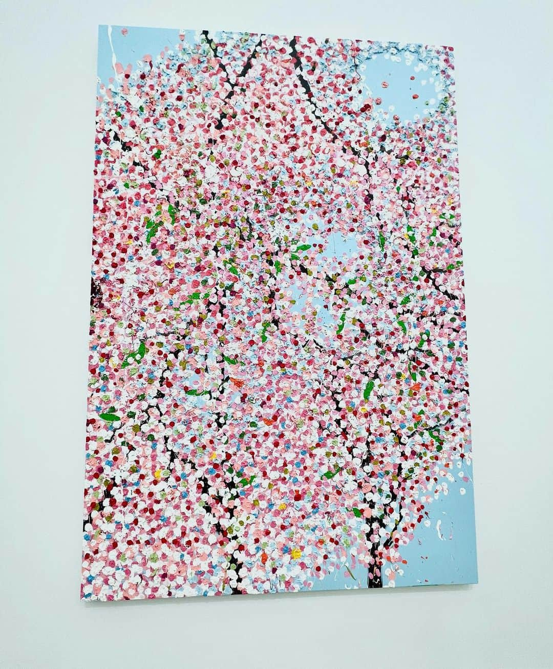 澤野ひとみのインスタグラム：「This is my first Damian Hirst Japan exhibition 🌸SAKURA🌸at nact❤️❤️❤️ダミアンハスト桜🌸2022 in 国立新美術館 ずっとスケジュールしていたのに ゆっくり観に行く時間がなく、、、 やっと最終日に観に行けた嬉しさと感動🥰好きすぎてもっといたかった🥹❤️集合体恐怖症があるので遠めから眺める方法を取りました😢✨ たった一枚の広告で私は惹きつけられ、 それを生で観に行ける事が出来てとても 嬉しかった🫶🥰」