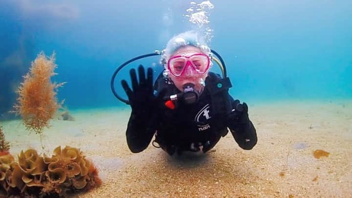 紅林大空のインスタグラム：「🐠🏖🤿」