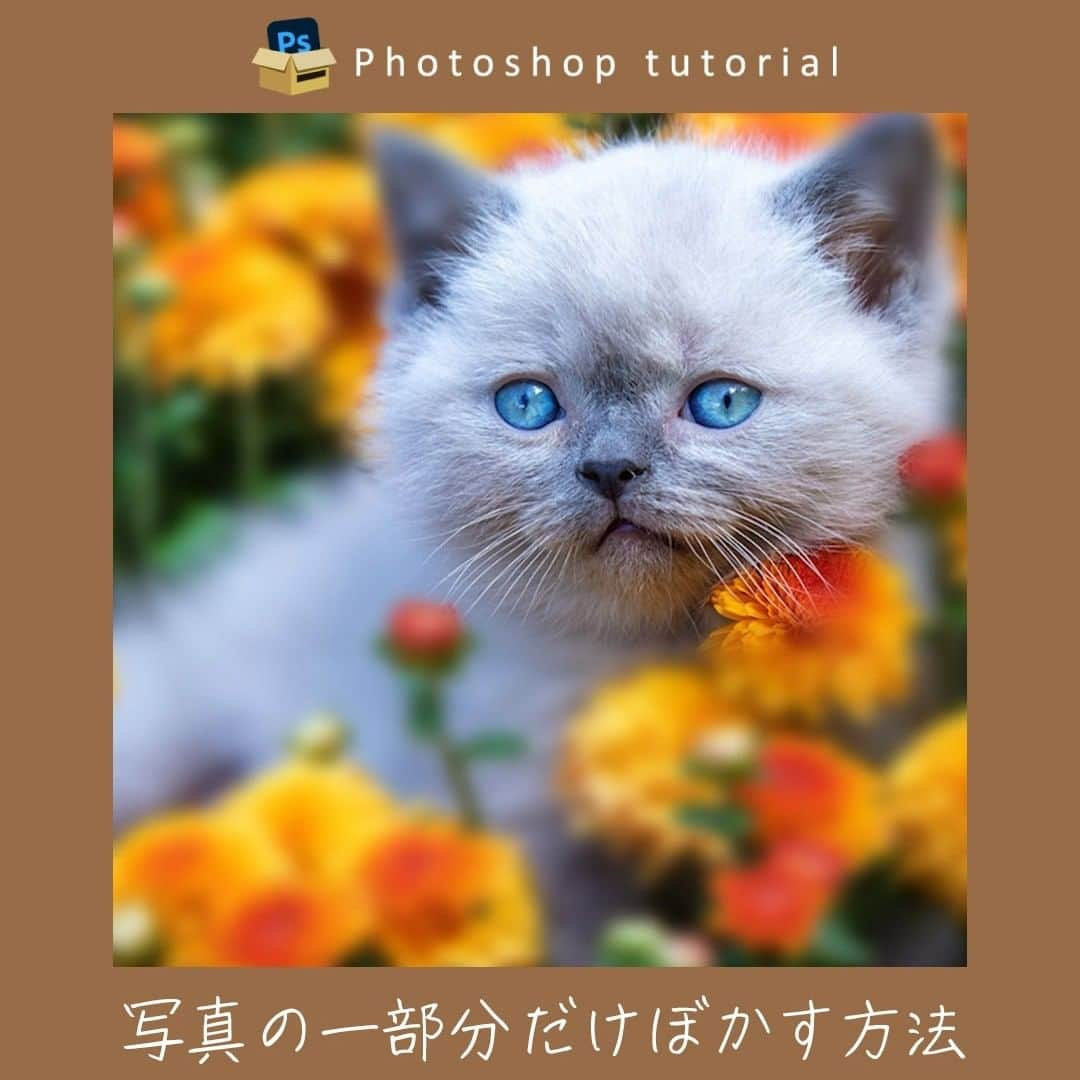 おとうさんスイッチのインスタグラム：「こんにちは、パパです。今回はPhotoshopで写真の一部をぼかす方法です！  🔻流れ ①画像をスマートオブジェクトに変換 ②画像にぼかしのフィルターをかける ③ブラシツールを選択し、描画色を黒にする ④スマートフィルターをブラシで塗って、フィルターの効果を一部隠す  📔詳しい解説はnoteから https://note.com/otosanswitch/n/n79ab402275e6  ――――――――  Photoshop YouTuberパパ( @papa_otosanswitch )がPhotoshopの面白さ伝えるためのアカウントです。 チュートリアルの詳しい解説はnoteやYouTubeに投稿中  ――――――――  #デザイン #webデザイン #photoshop #photoshop #Photoshoptutorial #Photoshop初心者 #photoshop練習中 #フリーランス」