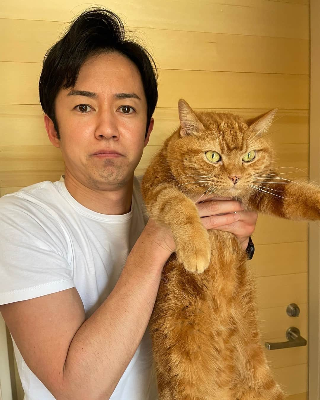 テレビ朝日アナウンサー公式さんのインスタグラム写真 - (テレビ朝日アナウンサー公式Instagram)「生まれ変わるなら猫になりたい板倉アナが出演する #報道ステーション は20:54～。 どうして猫？ 「猫のように自由気ままに過ごしたい。猫アレルギーですけど。」 お楽しみに！  #生まれ変わるなら何の動物 #板倉朋希 #猫 #猫アレルギーだけど #猫 #理由が既に自由 #もう猫みたいに生きられているのかも？ #息止めて撮ったそうです」5月27日 21時01分 - tvasahi_announcers