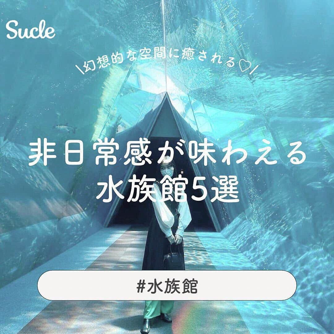 SUCLEのインスタグラム