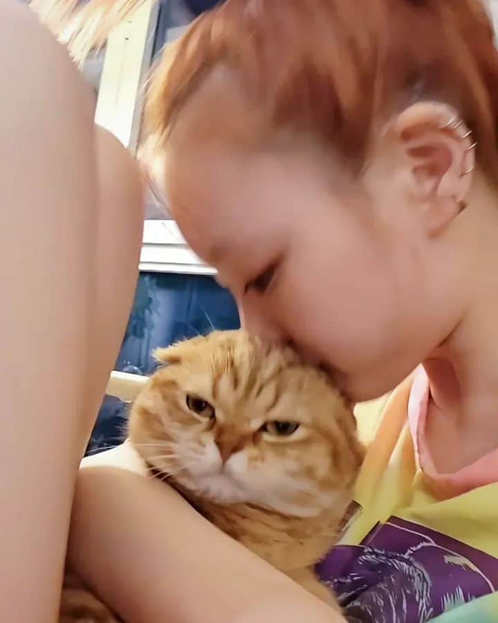 フェルナンダ・リーのインスタグラム：「幸せのお時間 🧈🧈🧈🧈🧈🧈🧈」