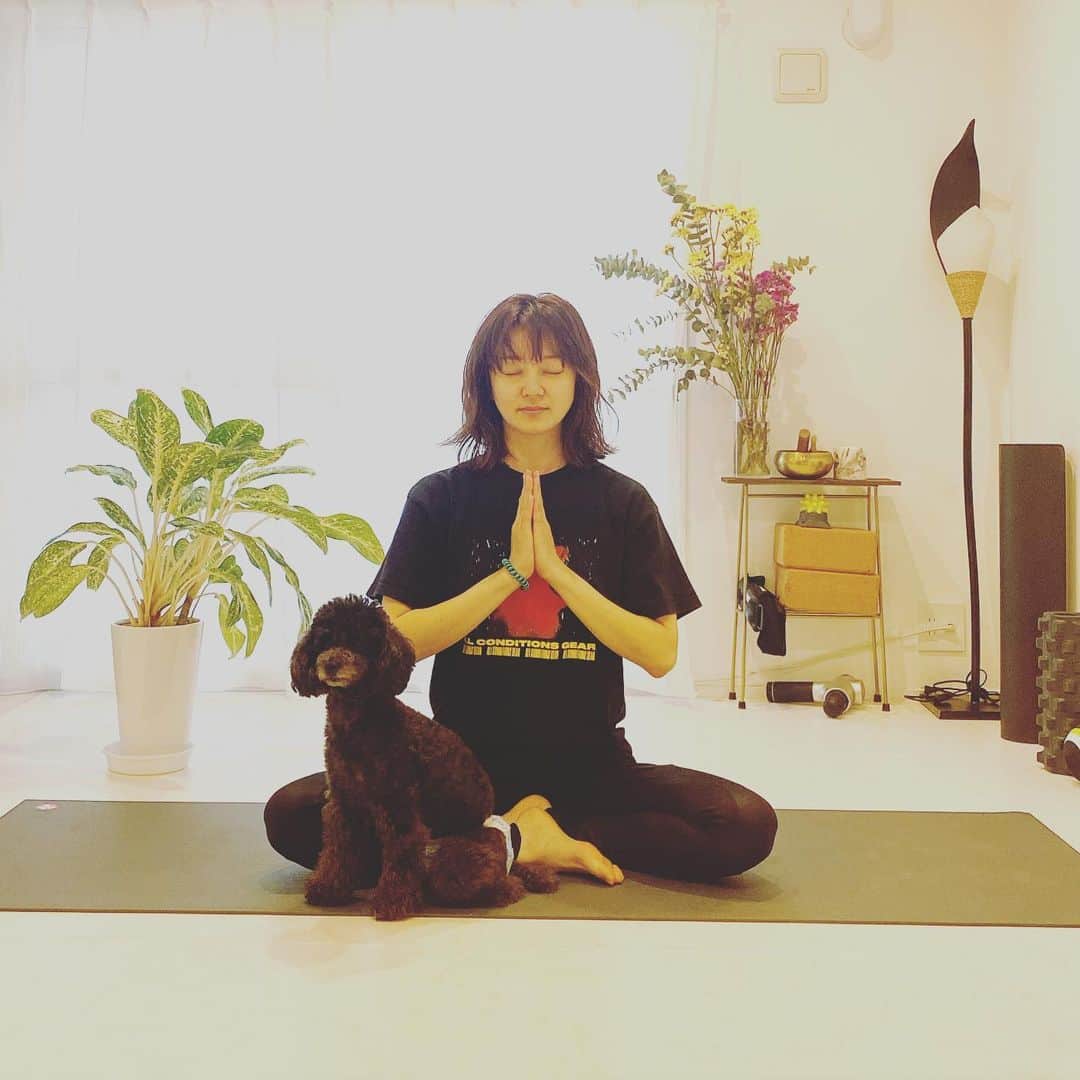 中越典子　体 中越典子さんのインスタグラム写真 - (中越典子Instagram)「ヨガで心と身体を 整えました ふーーーーーっ とーーっても気持ちが良いです  ゆり先生、最高っ♡ お導きありがとうございます さぁ、お仕事に育児に頑張りましょ #avocadoyuri #ヨガ #ひじきちゃん」5月27日 14  ...