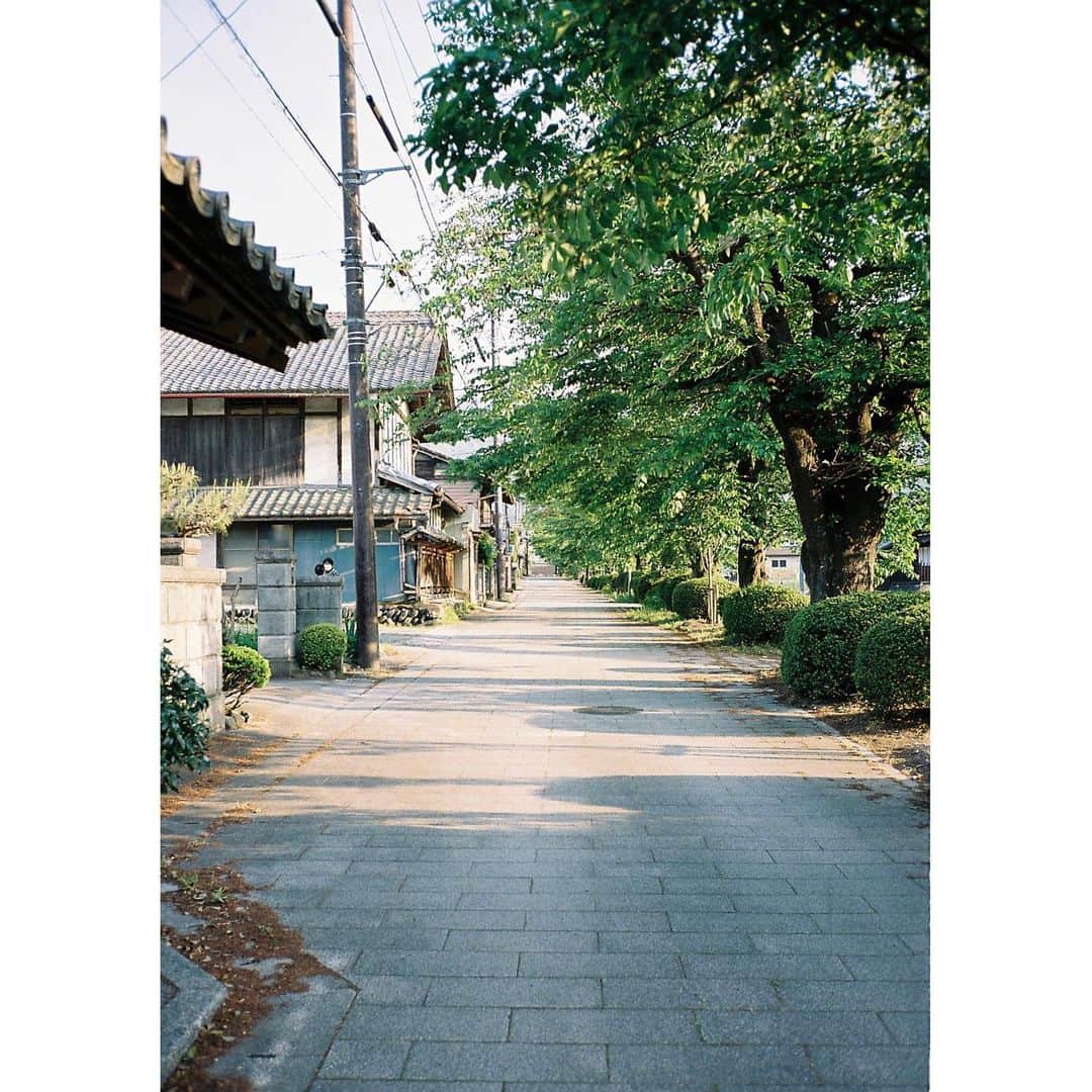 和田颯のインスタグラム：「. 何気ない景色だったり普段目にしてるものを切り取るのってなんかいいよね #contaxt2 #kodak #portra400」