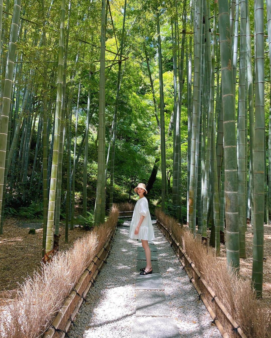 新井貴子のインスタグラム：「Learning photography🌱  Photo by me   最近ハマりだしたカメラ。 う〜ん、やっぱり奥が深い。難しいけど、学んでは実践を繰り返して、少しでも成長できた時が嬉しくてまた更に深めたくなる。  仕事ではいつも自分が被写体側だから、一瞬一瞬をベストに切り取るのがいかに難しいか、、改めてフォトグラファーさん達の凄さを感じています。いつも感謝🥹❤️‍🔥  (ラスト３枚はiPhone📱)  それにしても、360°どこからいつ撮っても絵になるし可愛いってすごいなぁと友人ながらに尊敬。❤️ @toritori0123 🦦♡」