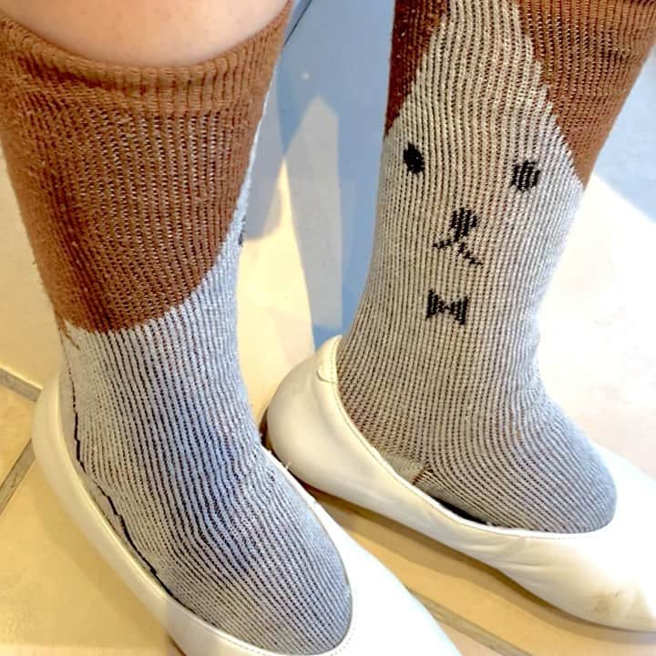 ココモノママニのインスタグラム：「☺️右から見てもいいし左から見てもいい。 あ〜どっちもかわいい☺️ ⁡ 本日の靴下はこちら ⁡ 💻検索ワード → ふうせん ⁡ 【商品名】ふうせん犬くんショート  【カラー】ブラウン 【素材】アクリル６９％　ポリエステル１８％　ウール８％　ポリウレタン５％ 【サイズ】22-26cm(かかとあり) 【洗濯方法】水に濡れても強度が低下しない為ネットに入れていただくと洗濯機で丸洗いでき、お手入れ簡単です。 　　　　　　全て編み込みでプリントタイツではないので、何度洗濯しても色落ちする心配がありません。 【製造】靴下の三大産地の一つ、兵庫県加古川市の自社工場で、株式会社神木が製造しています。 【原産地】日本 ⁡ ⁡ ⁡ ⁡ ❤️‼️❤️‼️ ❤️‼️❤️‼️ ❤️‼️❤️‼️ ❤️‼️❤️‼️ ⁡ #くつした  #コーディネート　 #コーデ　 #かわいい　 #オシャレ #オシャレさんと繋がりたい　 #プレゼント選び　#おしゃれ  #スタイリストさんと繋がりた #スタイリスト私物 #シースルーネイル #タイツ #靴下 #撮影衣装 #衣装協力 #衣装提供 #衣装リース #socks #kawaii #ショートソックス  #ootd #tights #🧦  #リース  #ootdfashion #スニーカー  #スニーカー女子  #スニーカーコーデ  ⁡ ❤️‼️❤️‼️ ❤️‼️❤️‼️ ❤️‼️❤️‼️ ❤️‼️❤️‼️ ⁡ ⁡ InstagramのDMでご注文すると 💰送料無料💰になります。 ⁡ ▶︎欲しい靴下をDMください💌 ⁡ ▶︎お支払い方法は、銀行振込のみとなります ⁡ 👗スタイリスト様へ 貸し出しはいつでもご相談ください👗」