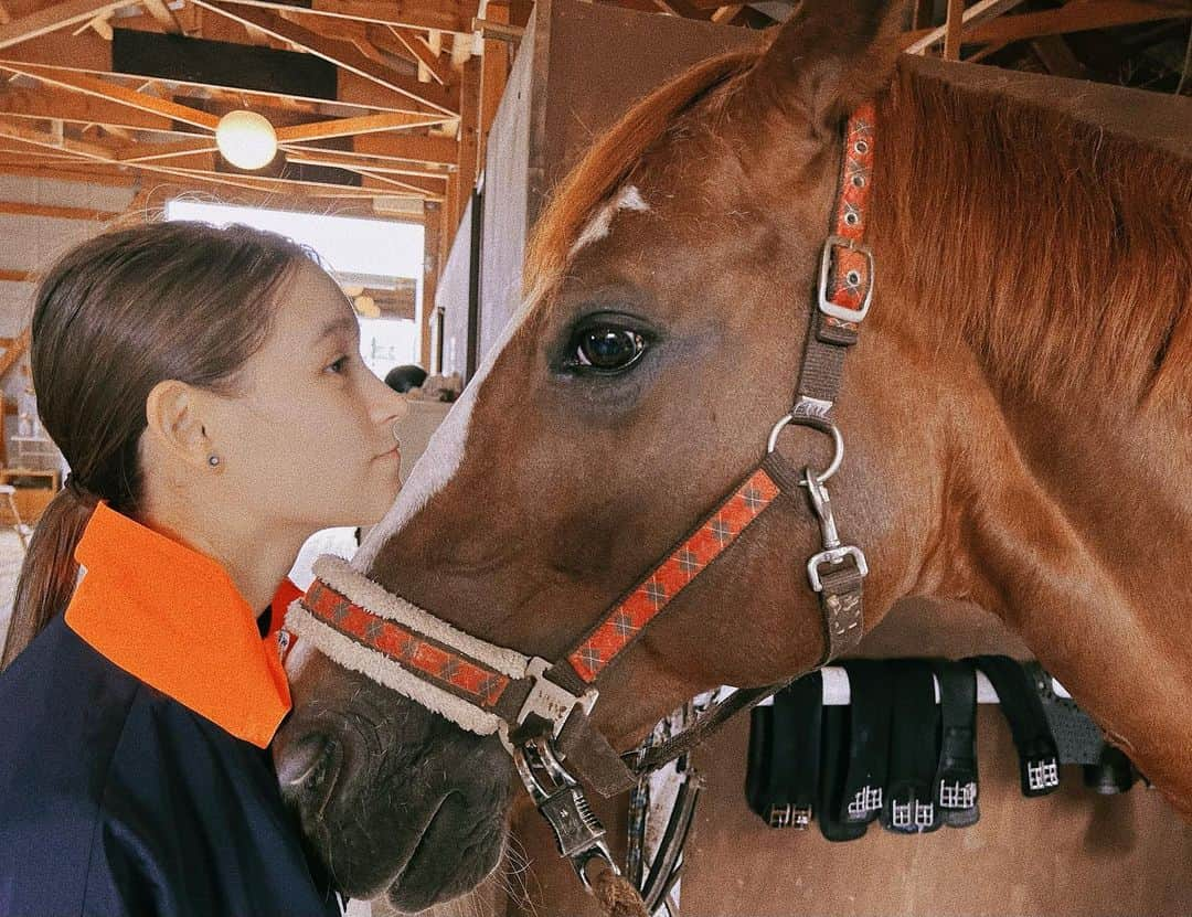 トラウデン直美さんのインスタグラム写真 - (トラウデン直美Instagram)「トラと馬。」5月27日 18時31分 - naomi_trauden_