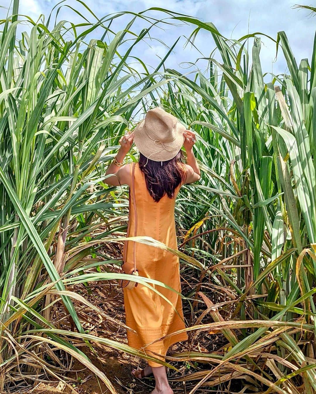 石井里奈さんのインスタグラム写真 - (石井里奈Instagram)「こんばんは🧡 今夜も沖縄編✨ さとうきび畑へ🌿📸 なんだかパワーをもらえる場所でした🌵 . hat... @helen_kaminski  dress... @diagramofficial  sandals... @hermes  bag... @loewe  . お気に入りのビタミンカラーのワンピース💛これも @mikko1104 ちゃんが着ていたやつ🧡笑 このオレンジカラーすごくこだわられてるカラーみたいで絶妙なの！肌も綺麗に見えるし派手すぎないしすごく可愛い😍❤️ ルックのまねして麦わら帽子と一緒に👒3年前くらいオーストラリアのゴールドコーストマラソン完走した記念に買ったヘレンの帽子🙆‍♀️ずっと使えてて本当いい👏 . 今週もお疲れ様でした❣️ . #りなまるコーデ #沖縄 #okinawa #沖縄旅行 #沖縄観光 #沖縄ホテル #さとうきび畑 #沖縄好きな人と繋がりたい #インスタ映えスポット #コーディネート #コーデ #夏コーデ #夏服コーデ #diagram #ダイアグラム #ファッション #オレンジカラー #オレンジ #オレンジコーデ #ビタミンカラー #helenkaminski #ヘレンカミンスキー #麦わら帽子 #hermes #畑 #さとうきび #loewe #ロエベ #リゾートコーデ #リゾート」5月27日 20時01分 - ri7tin1025
