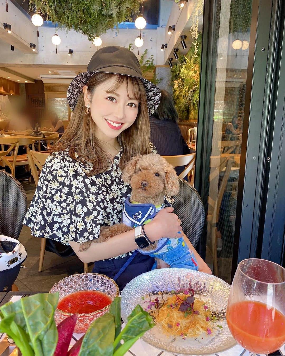 のインスタグラム：「わんわん会🐶💕  あかねぴの愛犬ポップと やっと会わせることが出来た✨  お散歩もして楽しかったね〜♪♪ 久しぶりにゆっくり話せて良かった🫶🌈  また来月ね🥰  #わんわん会 #愛犬 #ロンくん #トイプードル #トイプー #toypoodle #ランチ #lunch #表参道ランチ #表参道 #omotesando #イタリアン #trattoria #trattoria庭 #dog #dogs #rienda #dior #happy #smile #bf #gu #black #blackcode」