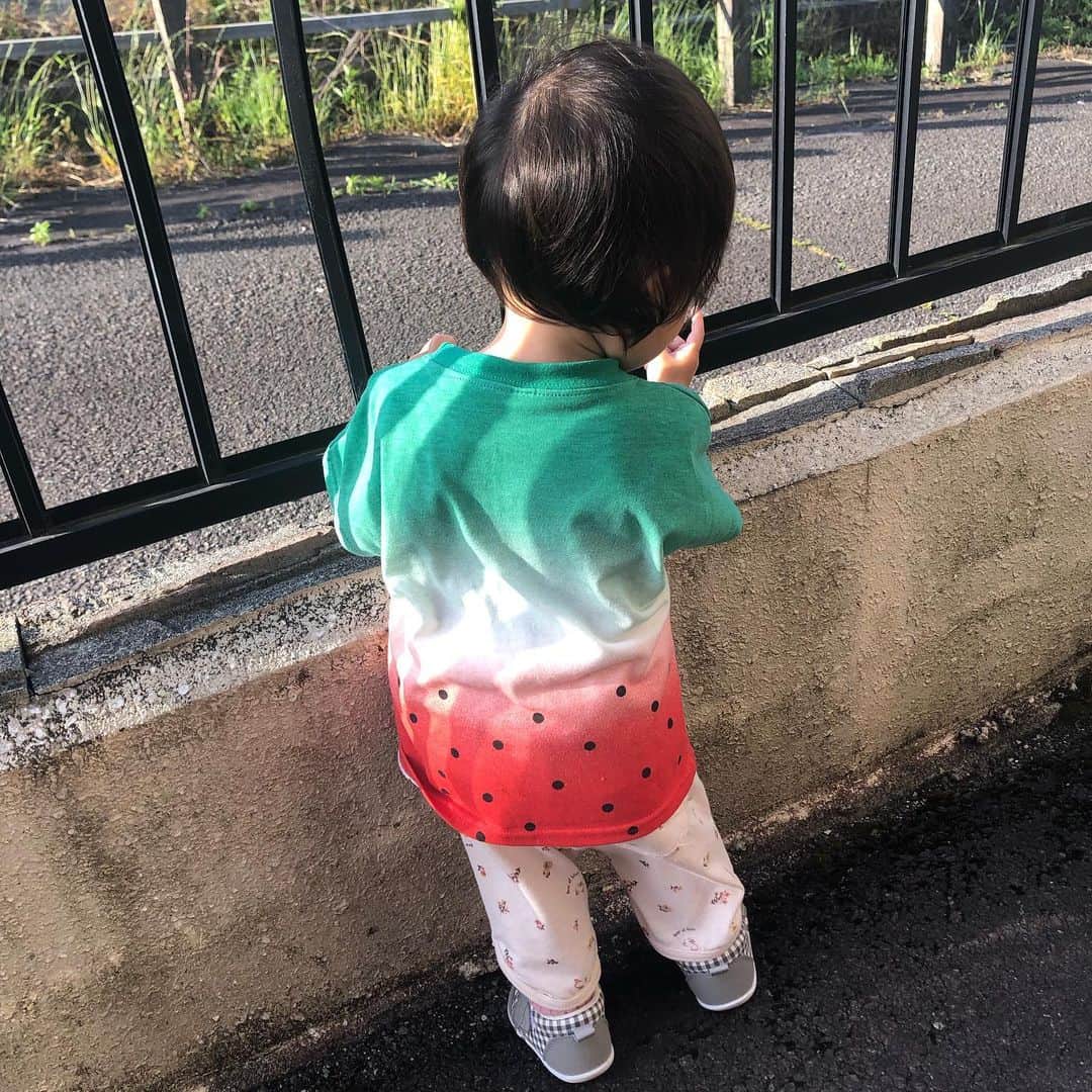 原口奈菜のインスタグラム：「🍉  今日も暑いですね… 水分補給、塩分補給、糖分補給、 時折ユーモアも補給しながら のんびりのんびり🍉」