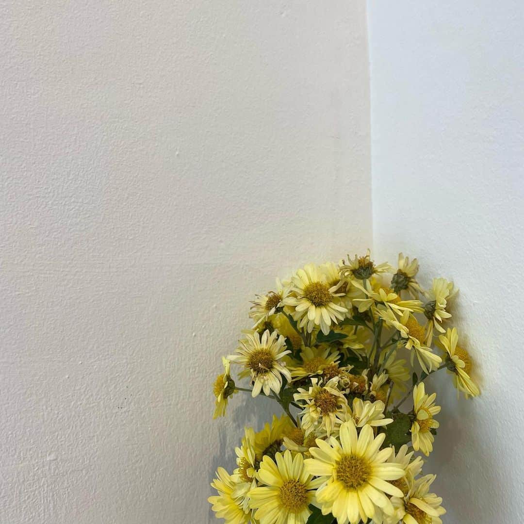 のインスタグラム