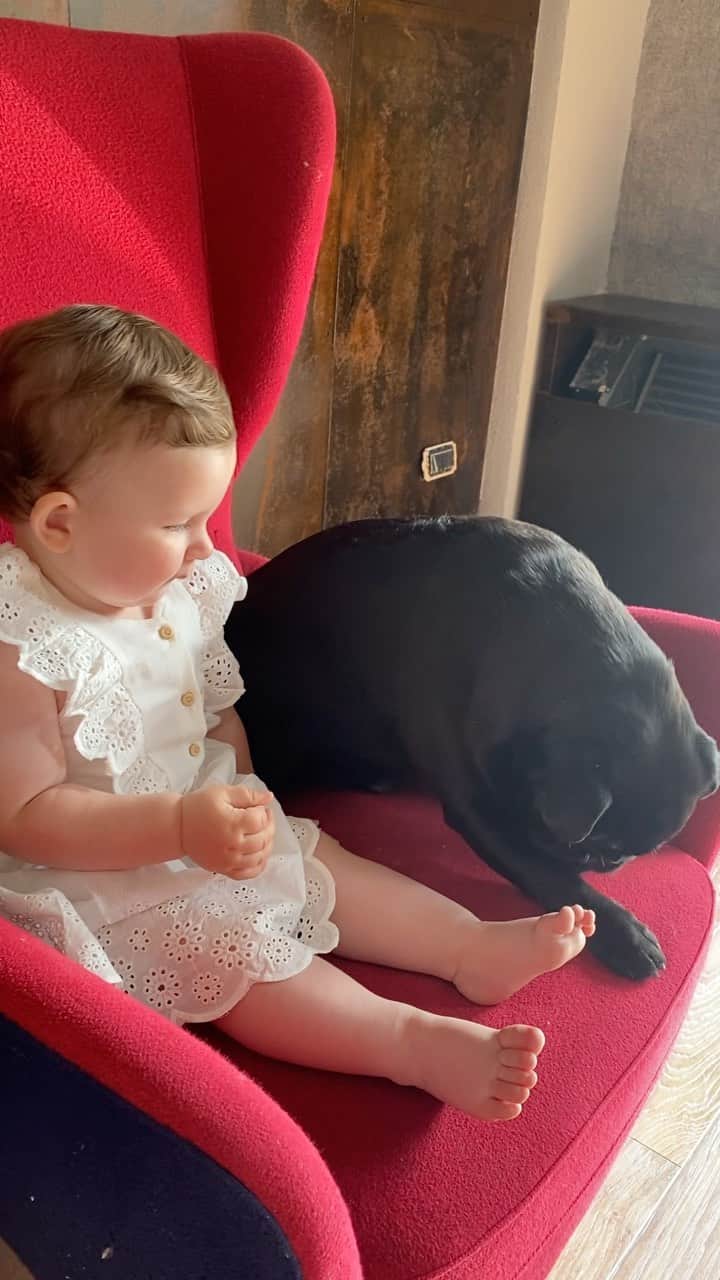 のインスタグラム：「Quale video, se non questo per augurarvi buon weekend ☀️🍀 Nostra figlia e la sua risata contagiosa per l’amore verso gli animali. Che meraviglia! ♥️ @caldiluca3」