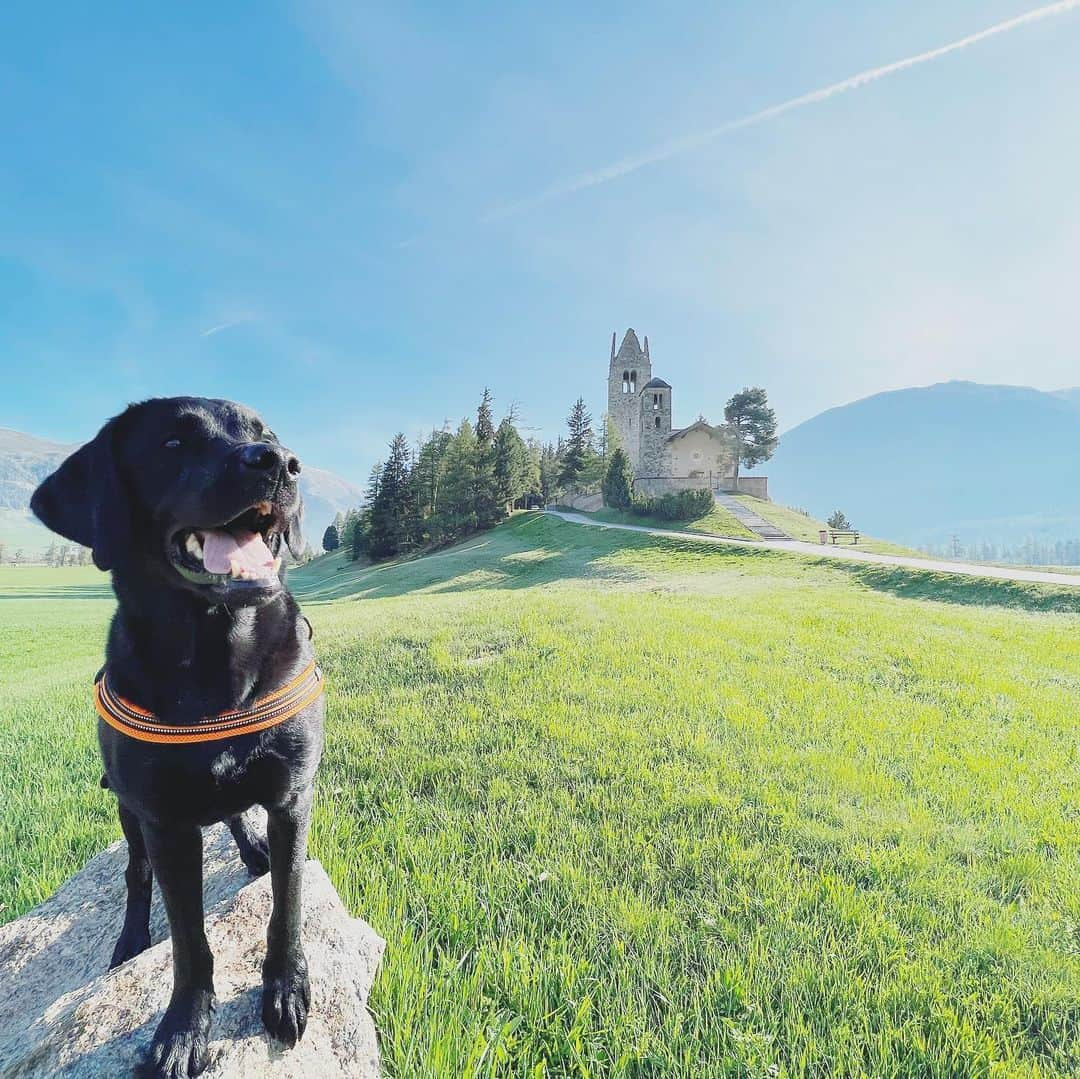 原口るりこさんのインスタグラム写真 - (原口るりこInstagram)「. . 【原口家のスイス旅行】 . 登山着ではない服を 着ていた時間は 片手で収まるほど、 原口家の旅は いつも自然の中にある🏔 . . 初めてスイスを体験したとき あまりに感動してしまったから、 2度目の訪れに不安がありました。 . 同じ気持ちになれなかったら… . . . そんな心配 いりませんね。笑 . . . . ただただチャージさせてくれる。 . . . . #パワーチャージの旅 パワー使って毎日登山&ハイク旅なのに チャージされる不思議🌼 . . #車でいく旅 #片道9時間 #犬といく旅」5月28日 14時23分 - ruriko_haraguchi24