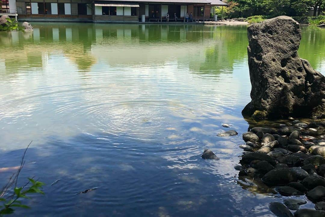 高野賢也さんのインスタグラム写真 - (高野賢也Instagram)「福井、また行きたい！ ありがとうございました！」5月29日 1時00分 - kenken_macaroni