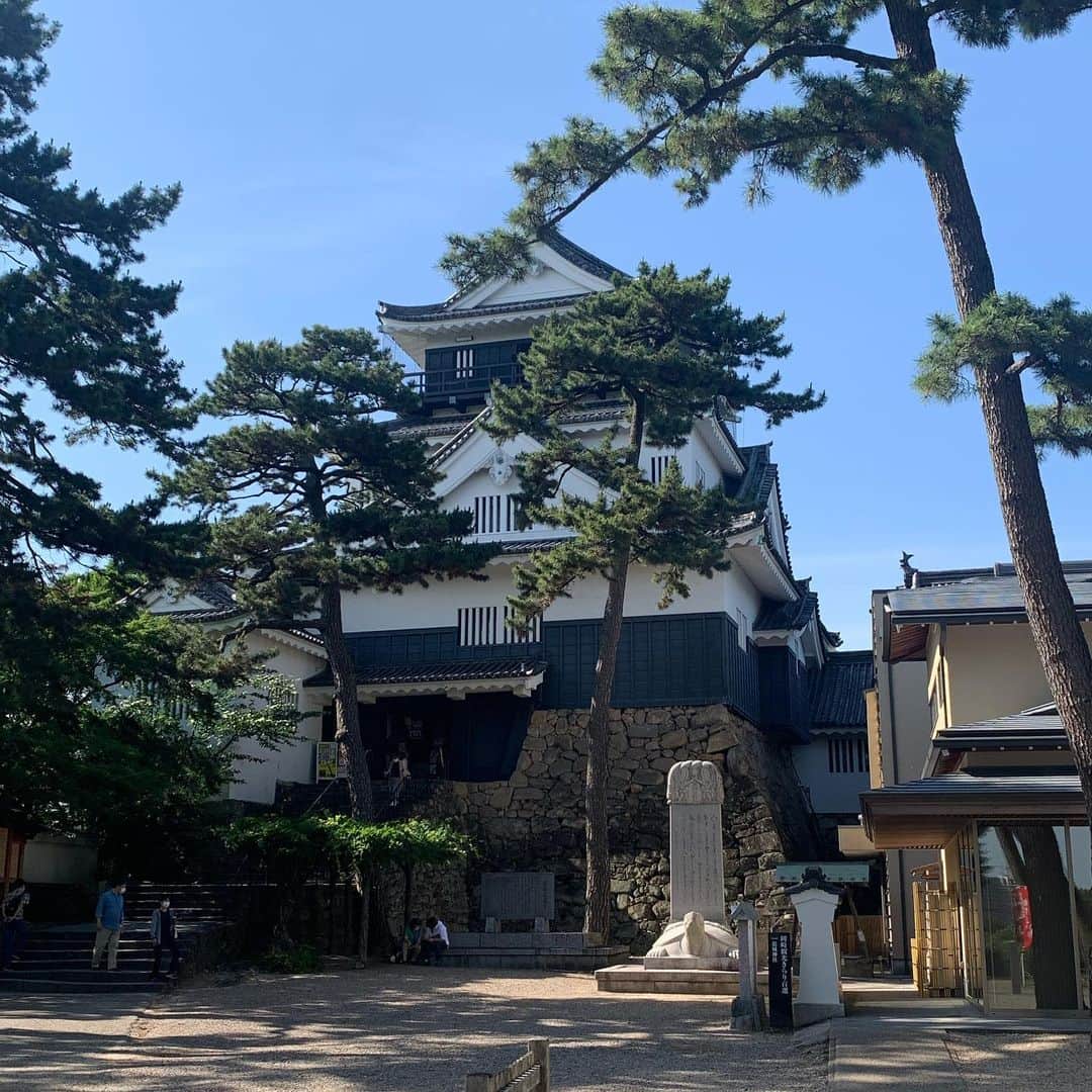 柏木美里のインスタグラム：「岡崎聖地巡りへ行ってきました✨✨ 徒歩だったのでヘトヘト💦 行きたかったキブサチは迷子になったので間に合わなかったけど😿 岡崎城や八丁味噌蔵、暴れん坊チキンに行ってきたよ！ 歩いていたらたまたまパネルや電光掲示板も見られたし、良い1日でした❣️  明日は鈴鹿です〜😼」