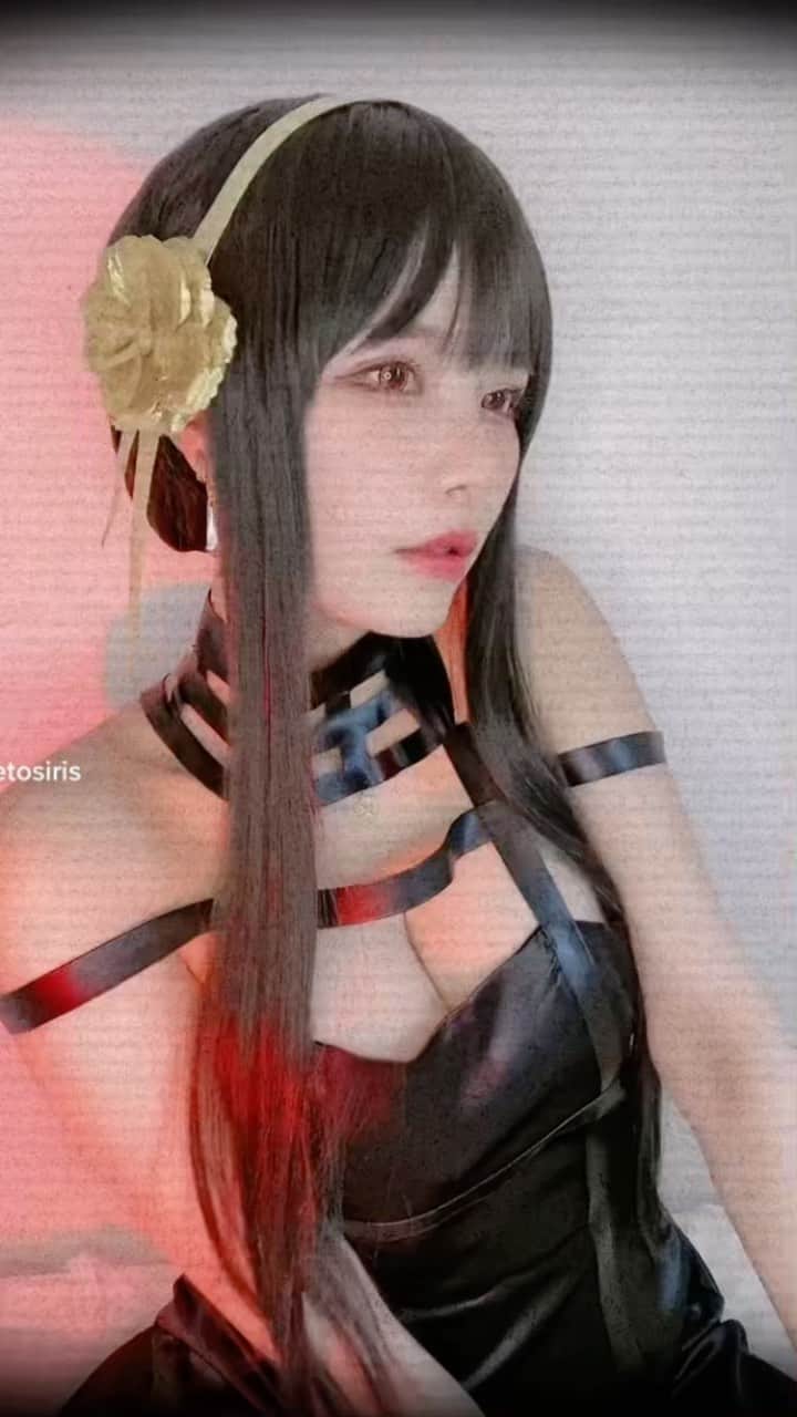 プラネットオシリスのインスタグラム：「#ヨルフォージャー #コスプレ#ヨルさん#いばら姫 #yorforger #yorforgercosplay#スパイファミリー#spyxfamily」