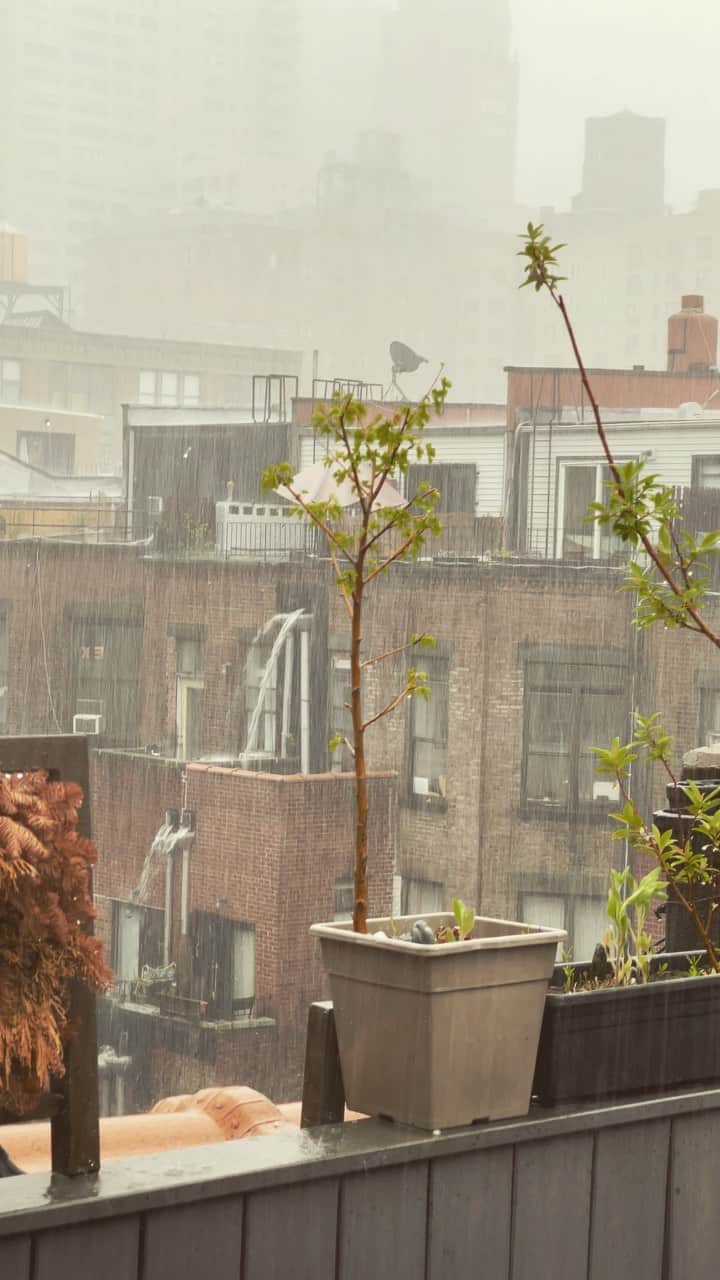 JULIEN D'YSのインスタグラム：「Big ⚡️💧storm #newyork 12:45 pm may28.20022 water 💦🌨⛈⚡️⚡️」