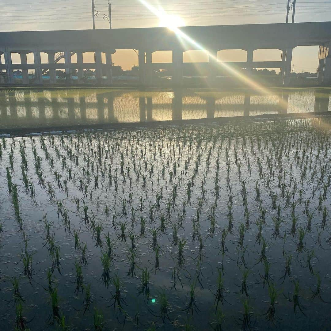 伊澤一葉さんのインスタグラム写真 - (伊澤一葉Instagram)「この季節のこの景色　お美しいわー」5月28日 23時47分 - ichiyo.izawa