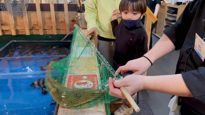 石塚錬のインスタグラム：「. 👦💬「ギョギョ❗️お魚さんチョット怖かった🎣🐟😵‍💫」 #はじめての魚つり、元気いっぱいのひらめにびっくり😳 #捌きたてでとても美味しかった🐟😋 #2、3枚目が編集の関係で見切れてしまってます🙇‍♂️ . 👦💬「Wow❗️ The fish was a little scary🎣🐟😵‍💫」 #I was surprised at the first fish fishing and the energetic fish😳 #The fish I caught was cooked and ate deliciously🎣 #The second and third movie and photo have been cut off due to editing🙇‍♂️ . #魚釣り #ひらめ #お刺身 #釣竿 #網 #魚 #拍手 #fishing #Sashimi #fish #fishingrod #물고기낚시　#물고기　#생선회 #ตกปลา #ซาซิมิ #penangkapanikan #钓鱼 #石塚錬 #成長日記 #ishizukaren #renishizuka #이시즈카렌」