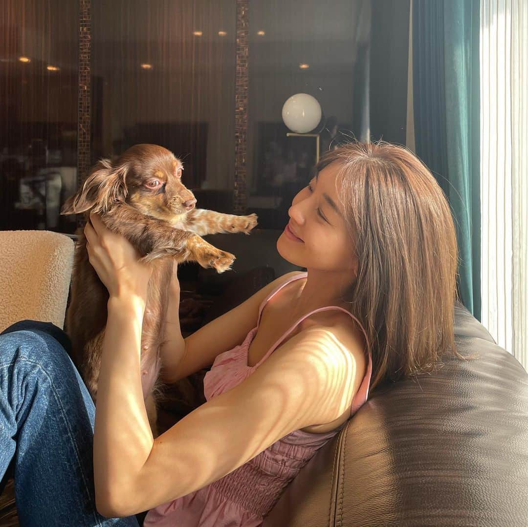 のインスタグラム：「🐷🩰📸」