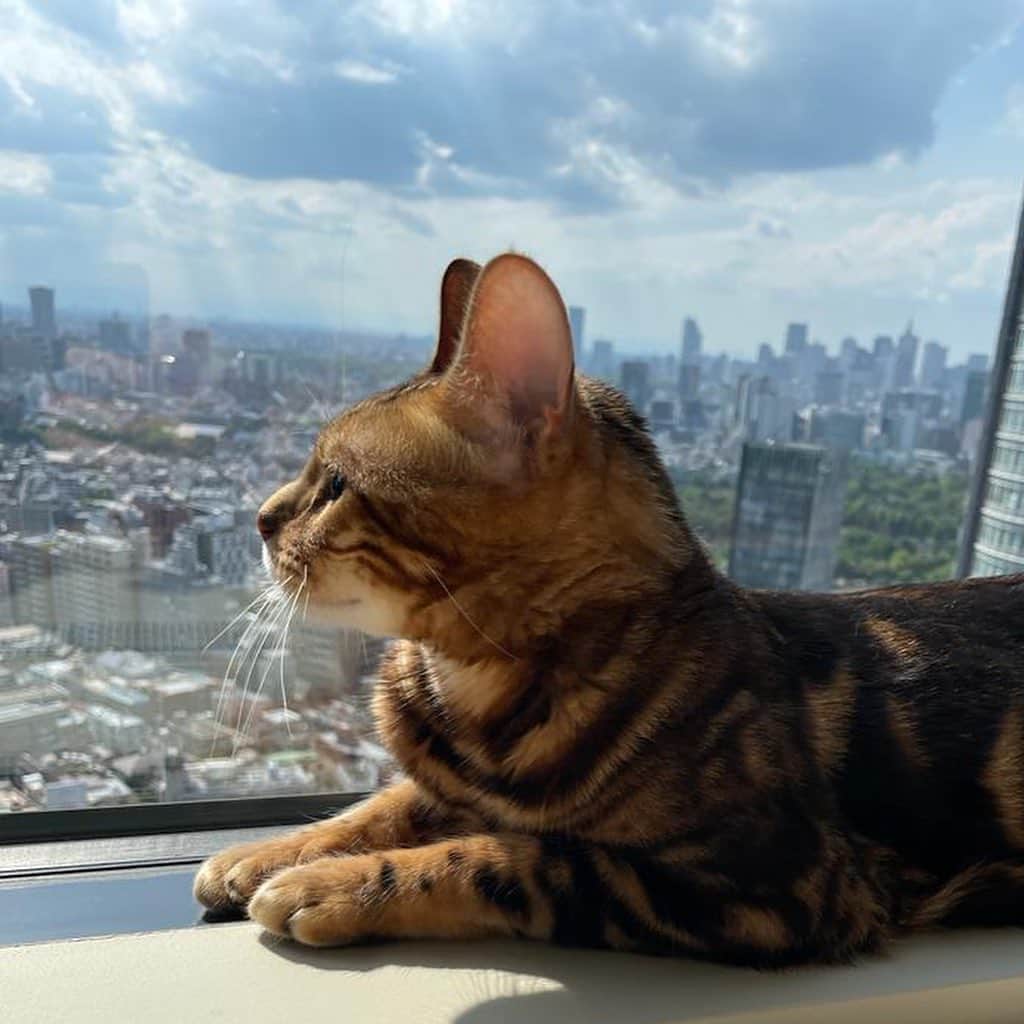 三浦瑠麗のインスタグラム