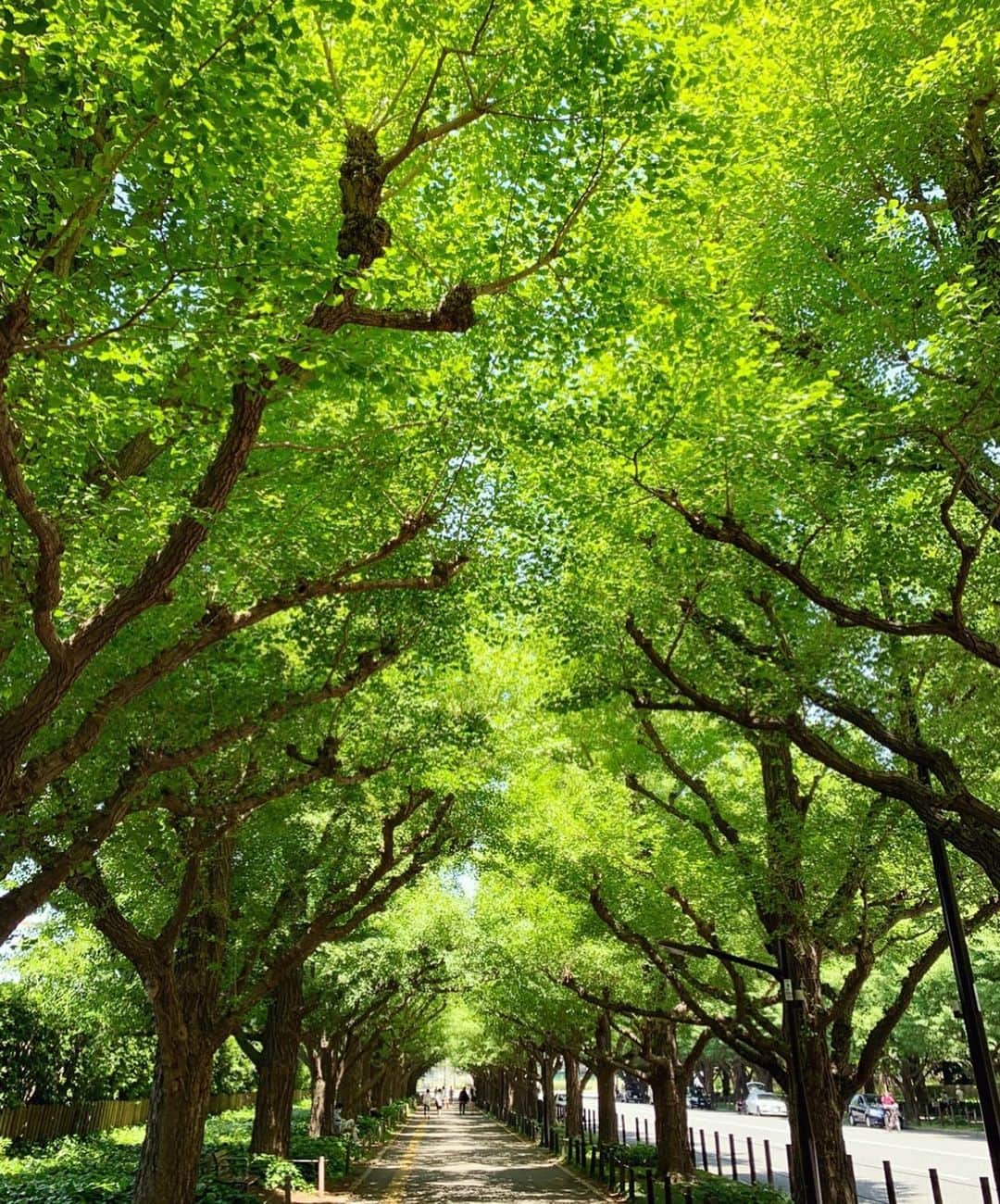 日高大地さんのインスタグラム写真 - (日高大地Instagram)「日曜日のお散歩🌿🌿 気持ちの良い季節！ 素敵な日曜日を😊」5月29日 15時49分 - yoko92hidaka