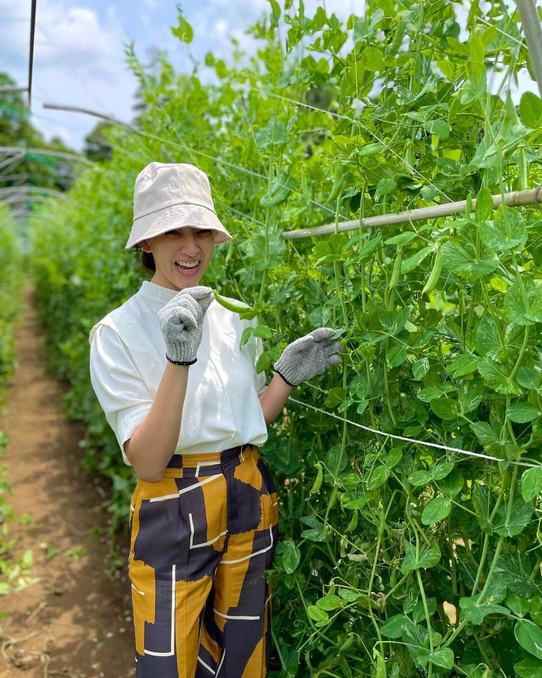 松野井雅（原紗央莉）のインスタグラム：「野菜の収穫楽しかった🌻🍹  THE FARM ▶︎ @thefarm_katori  ショップ ▶︎ @thefarm_onlineshop  おふろcafé かりんの湯 ▶︎ @ofurocafe.karinnoyu   ラディッシュ そら豆 スナップえんどう ※フードロス対策でにんじんももらえました🥕🐰  季節によって変わるので 今回はこちらでした〜🧤🫘🌱  田舎育ちなので 畑は落ち着くんだなこれが👩🏻‍🌾🫑笑笑  農業やって、またサウナ！ってのも良いかもかも！！！！  ・ ・ #ザファーム #かりんの湯 #千葉 #わんちゃん #グランピング #アウトドア #キャンプ #BBQ #野菜 #農園 #収穫体験 #サウナ #サウナー #サウナ女子 #sauna #saunner #ととのった #サウナ女優 #サ活 #サ道 #サ旅 #サ飯 #サウナイキタイ  #サウナ好き #サウナ好きすぎ #サウナ好きと繋がりたい #サウナ好きな人と繋がりたい  #フィンランドサウナアンバサダー #finlandsaunaambassador #松野井雅サウナ部」