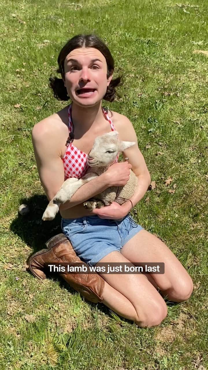 DYLAN MULVANEYのインスタグラム：「Day 79- interviewing animals With dylan #trans #animals」