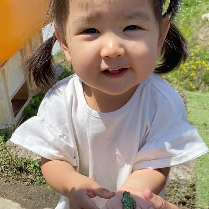 申真衣のインスタグラム：「🐸💚」