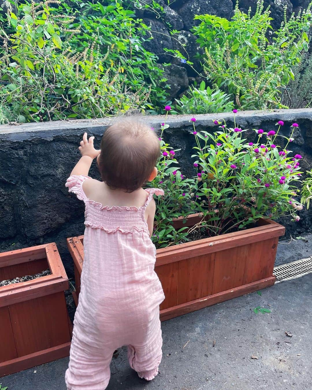 吉川ひなのさんのインスタグラム写真 - (吉川ひなのInstagram)「ベビ子はピンクのお花が好き  #ベビ子HawaiiLife🌺」5月30日 14時19分 - hinanoyoshikawa