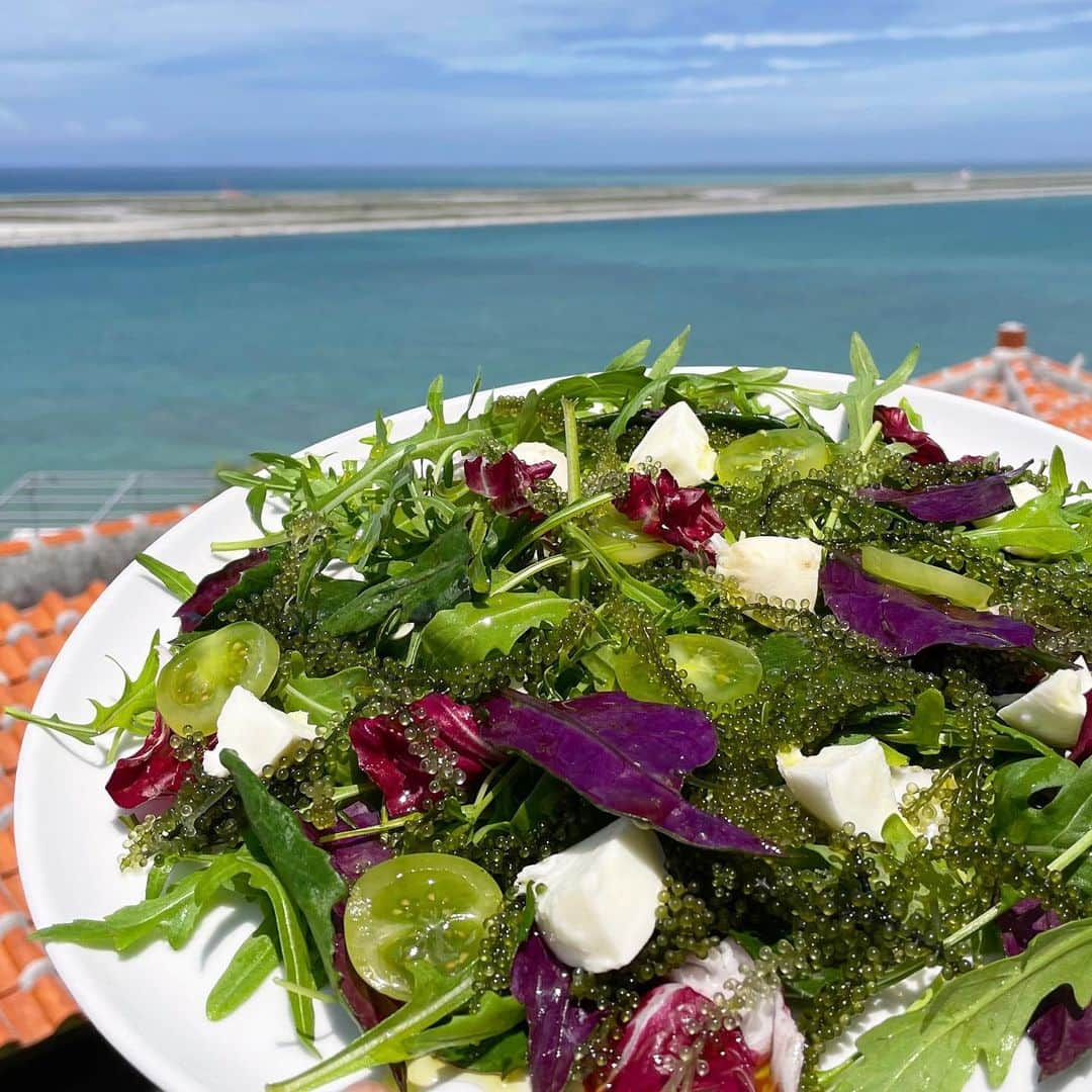 ポジリポさんのインスタグラム写真 - (ポジリポInstagram)「サラダ・ヴェルデ - Salad Verde -  海ブドウをイタリア料理として美味しく沢山食べて頂きたく御用意しました！  イタリア野菜のルッコラセルバチコをベースにたっぷりと海ブドウ、県産ハンダマ、グリーントマト、トレビス🥗 そしてアクセントに添えるのは燻製したモッツァレラブッファラ  仕上げはシチリア岩塩と綺麗なヴェルデ色(イタリア語で緑色)の厳選エクストラバージンオリーブオイルをたっぷりとおかけします🇮🇹 南イタリアと沖縄を存分に感じられる沢山のヴェルデを是非お楽しみ下さい！  Salad Verde  We’re making our special green salad with wild roquette arugula, smoked mozzarella and Okinawan sea grapes!! The all the flavors of the ingredients are in perfect harmony 🥗 Enjoy !!  ≪ALL NATURAL≫ NO MSG and ZERO TRANS FAT, ORGANIC SUGAR, NATURAL SALT  [Access] 沖縄県豊見城市字瀬長174-5 [Hours] 平日→11:30〜22:00 土日祝→8:00〜22:00  　※8:00〜11:00(10:30 L.O.)はモーニングメニュー [Tel] 098-851-1101  [Web] http://www.posillipo-cucina.jp/  ▼ご予約はお電話またはプロフィールページ @posillipo_okinawa のリンクより  @huge_restaurant #huge_restaurant #thehugeclub #posillipo #umikajiterrace #senagajima  #okinawa #okinawatrip #okinawagourmet #okinawarestaurant  #okinawaitalian #italian #okinawalunch  #ザヒュージクラブ #ポジリポ #ポジリポ沖縄 #沖縄グルメ  #沖縄イタリアン #沖縄ピッツァ #沖縄パスタ #沖縄ワイン  #沖縄朝食 #沖縄モーニング #沖縄ランチ #沖縄ディナー #海の見えるレストラン #沖縄旅行  #那覇空港 #豊見城 #瀬長島 #ウミカジテラス」5月30日 8時59分 - posillipo_okinawa