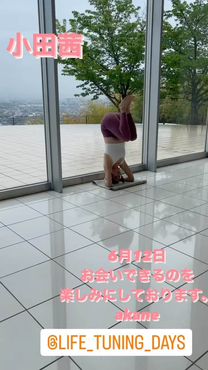 小田茜のインスタグラム：「おはようございます！  皆様、週末はいかがお過ごしでしたでしょうか？  私、Twitterも始めました😉 そちらも遊びにいらしてね。  5月ももう終わりに近づいて参りました。 6月はヨガのビッグイベントが控えております。 沢山の方々にお会いでき、 一緒にヨガができる事、本当に楽しみにしております！  チケット情報 https://bit.ly/3lnaY2y  　　　　　　　　　　　　　　　　　　　動画はヘッドスタンドです☺️ 　　　　　　　　akane  @life_tuning_days   #小田茜 #ヨガセッション #女優小田茜 #ヨガインストラクター」