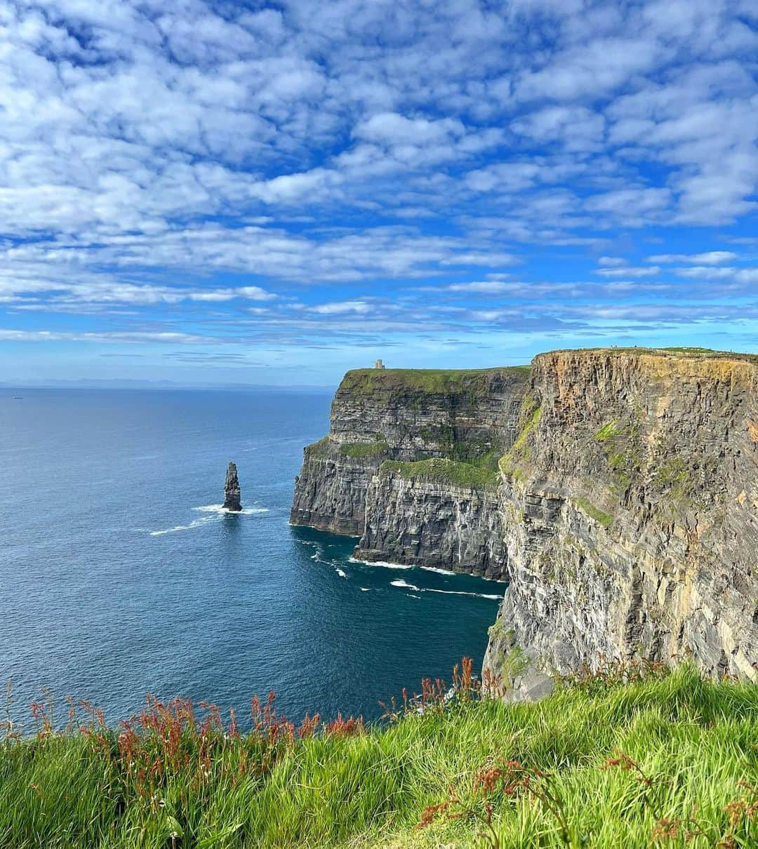 ダグラス・ラザノさんのインスタグラム写真 - (ダグラス・ラザノInstagram)「Castles, cows and Cliffs. Ireland, you are wonderful ❤️🇮🇪  #dublin #galway #ireland #cliffsofmoher #kylemoreabbey #dogsbay」5月30日 21時37分 - douglasrazzano