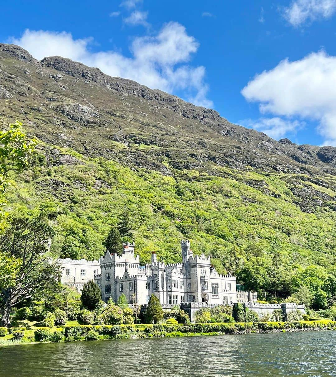 ダグラス・ラザノのインスタグラム：「Castles, cows and Cliffs. Ireland, you are wonderful ❤️🇮🇪  #dublin #galway #ireland #cliffsofmoher #kylemoreabbey #dogsbay」