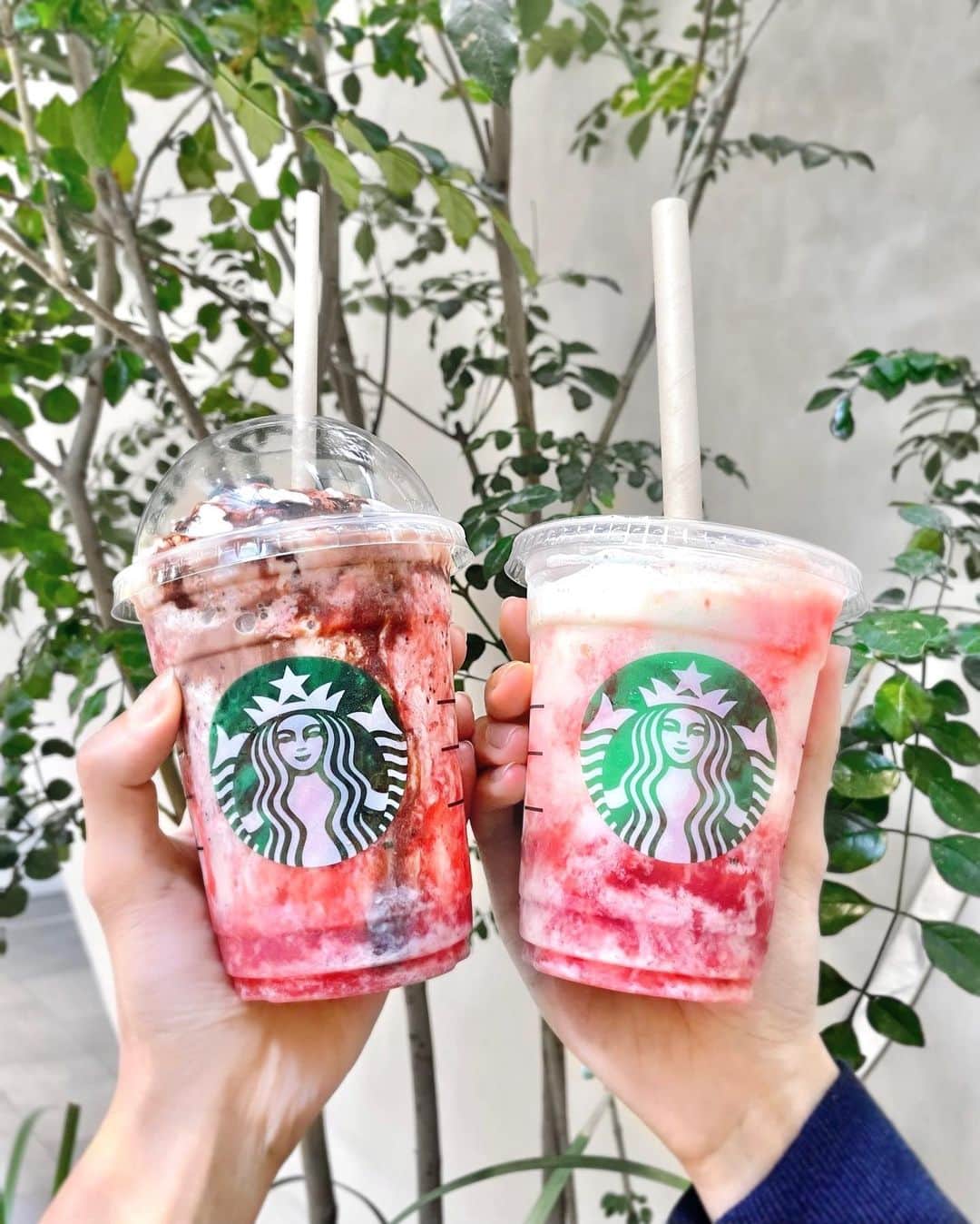 のインスタグラム：「🧸🍓🍃🌳 𝑺𝑻𝑨𝑹𝑩𝑼𝑪𝑲𝑺 ✨ スタバ期間限定の #ストロベリーフラペチーノ を飲みました💕  チョコレートバージョンが 今日までだったので駆け込み💨  ストロベリーフラペチーノは ⌘ソイに変更 ⌘ホイップなし ⌘シトラス果肉追加 がさっぱりしておすすめです☺️  いつもご紹介してますが今年も！ スタバヘルシー系おすすめカスタマイズ❤︎❤︎  ✔︎ミルクを変更 (低脂肪-20kcal、無脂肪-40kcal、豆乳-5kcal)  ✔︎ホイップを少なめもしくはノンホイップに変更 (なしにすると-90kcal)  ✔︎ノンシロップに変更 (1ポンプあたり-50kcal) 甘さ控えめがお好きな方は ノンホイップと組み合わせると◎  私はいつも甘さをなるべく控えめにして ＋パウダーができる時は追加します😊💐 濃いめの味になり美味しいです！  #starbucks #starbuckscoffee #スタバ #スターバックス #スタバ新作 #スタバカスタム #スタバカスタマイズ #ストロベリーフラペチーノチョコレートver #フラペチーノカスタム #フラペチーノ #カフェ好き #カフェタイム #イオンモール名古屋ノリタケガーデン #ノリタケの森 #ノリタケ #スタバラ部 #料理研究家 #管理栄養士」