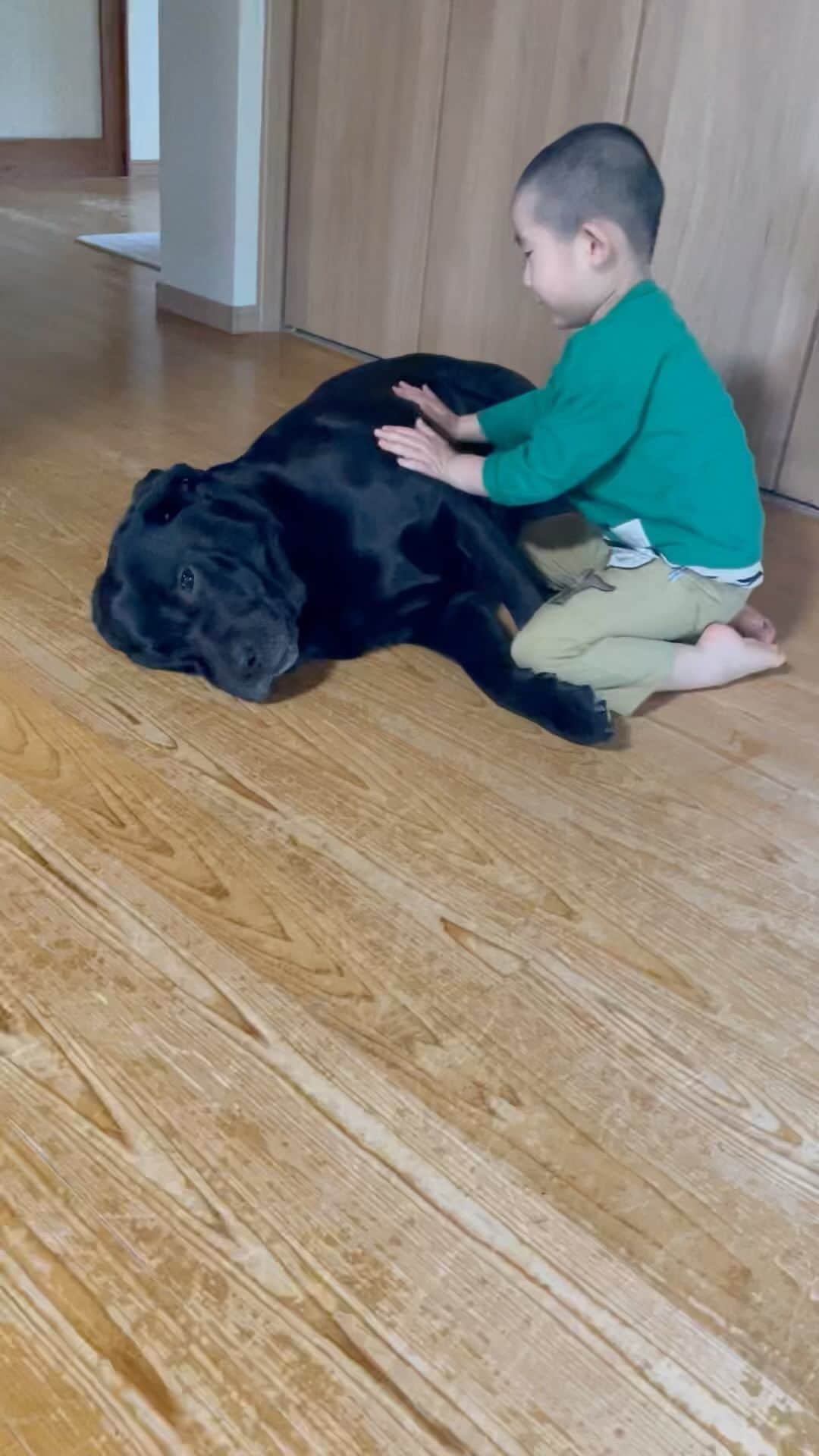 高橋みゆきのインスタグラム：「くーちゃんは重いなぁ💨💨クラ吉の3倍あるからね🐕‍🦺 #くーちゃん #黒ラブ」