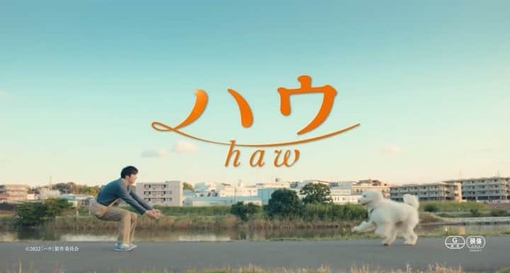 深川麻衣 のインスタグラム：「8月19日公開の映画、 「ハウ」にちょこっと出演させていただいております。 とにかくハウが愛おしくて、、😢 優しい気持ちになれるお話です。是非お楽しみに✨ @haw_movie2022」