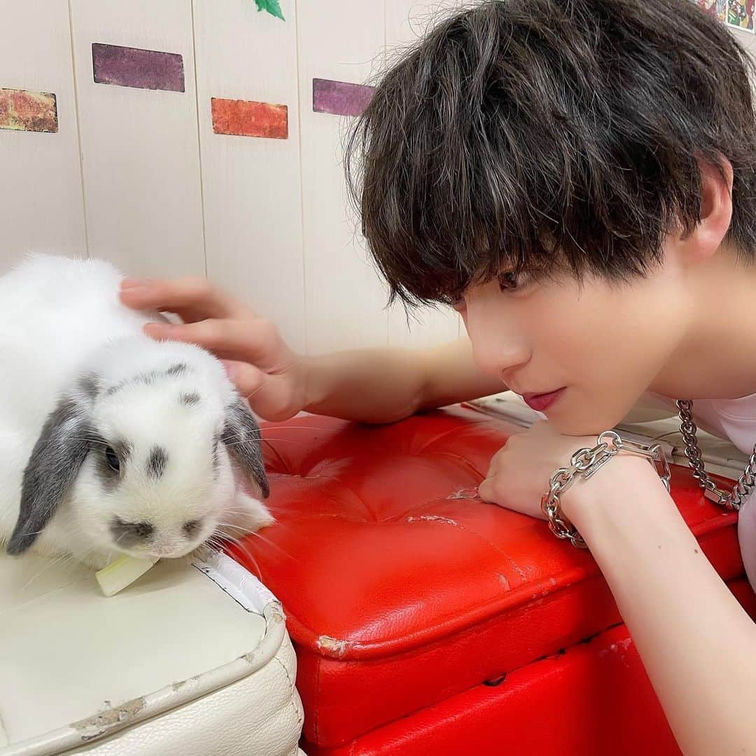 宇佐美健土さんのインスタグラム写真 - (宇佐美健土Instagram)「うさみ×🐰」5月31日 19時09分 - 7min_kento