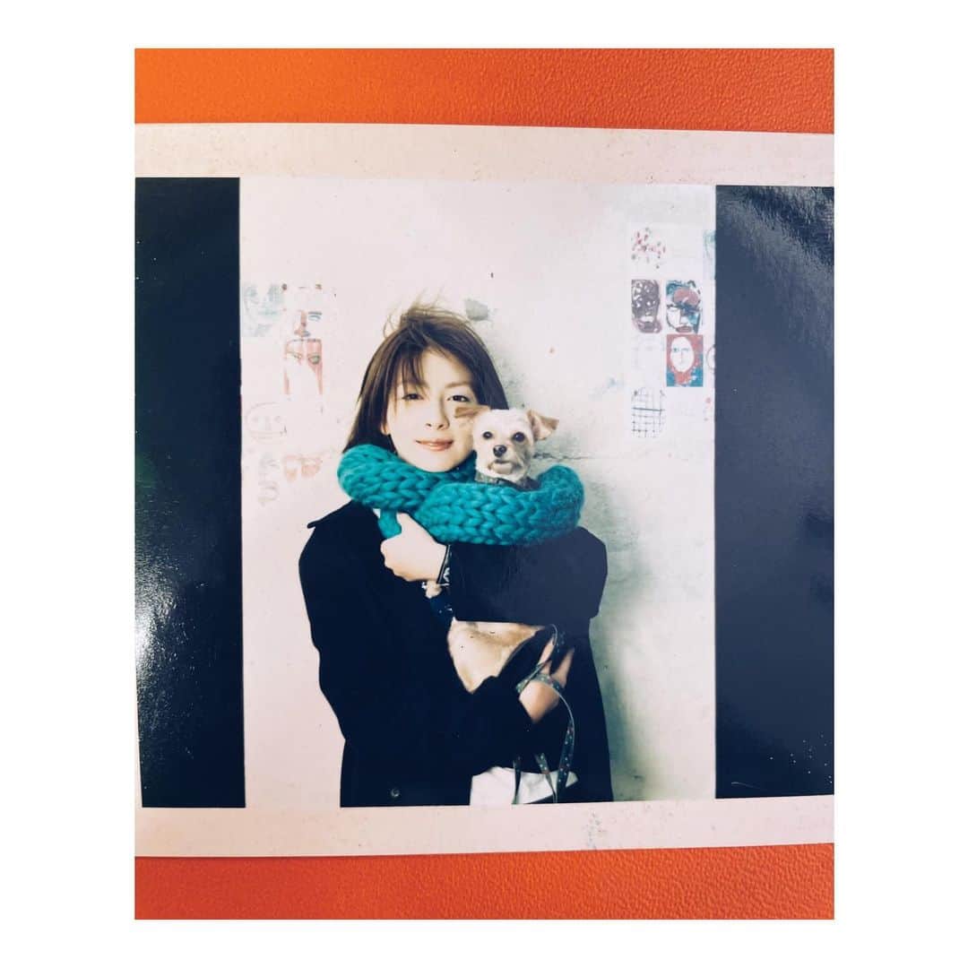 奥菜恵さんのインスタグラム写真 - (奥菜恵Instagram)「何年前のものかなぁ。お仕事の資料を探していたら、亡き愛犬ちゃんぽんとの写真が出てきた。 ミニチュアピンシャーとプードルのミックス。優しくて穏やかな子でした。 可愛い。」5月31日 19時47分 - megumi_okina
