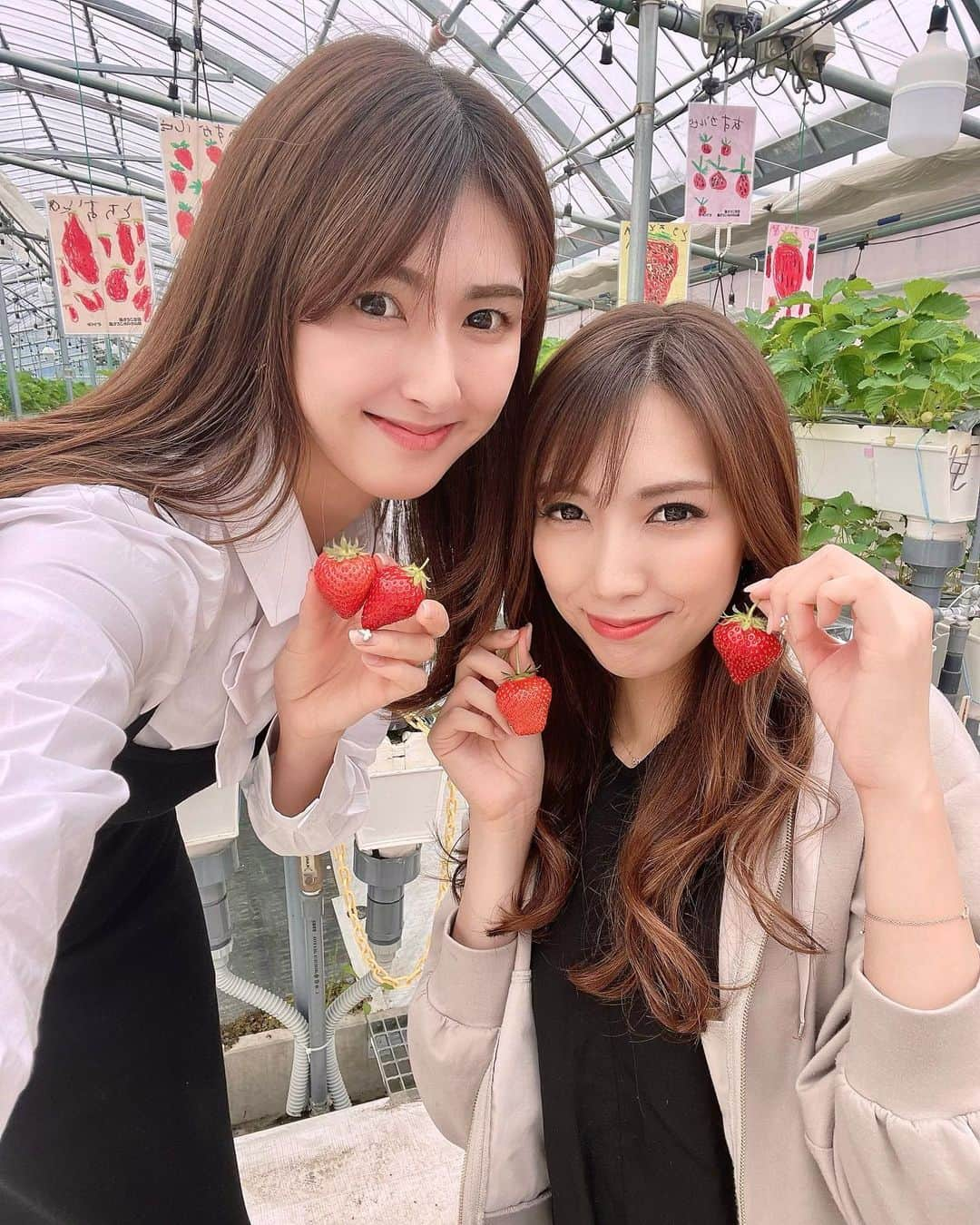 井上麻衣のインスタグラム