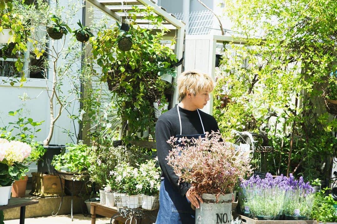 のインスタグラム：「・ ・ ・ ・ 🌺🌺🌺」
