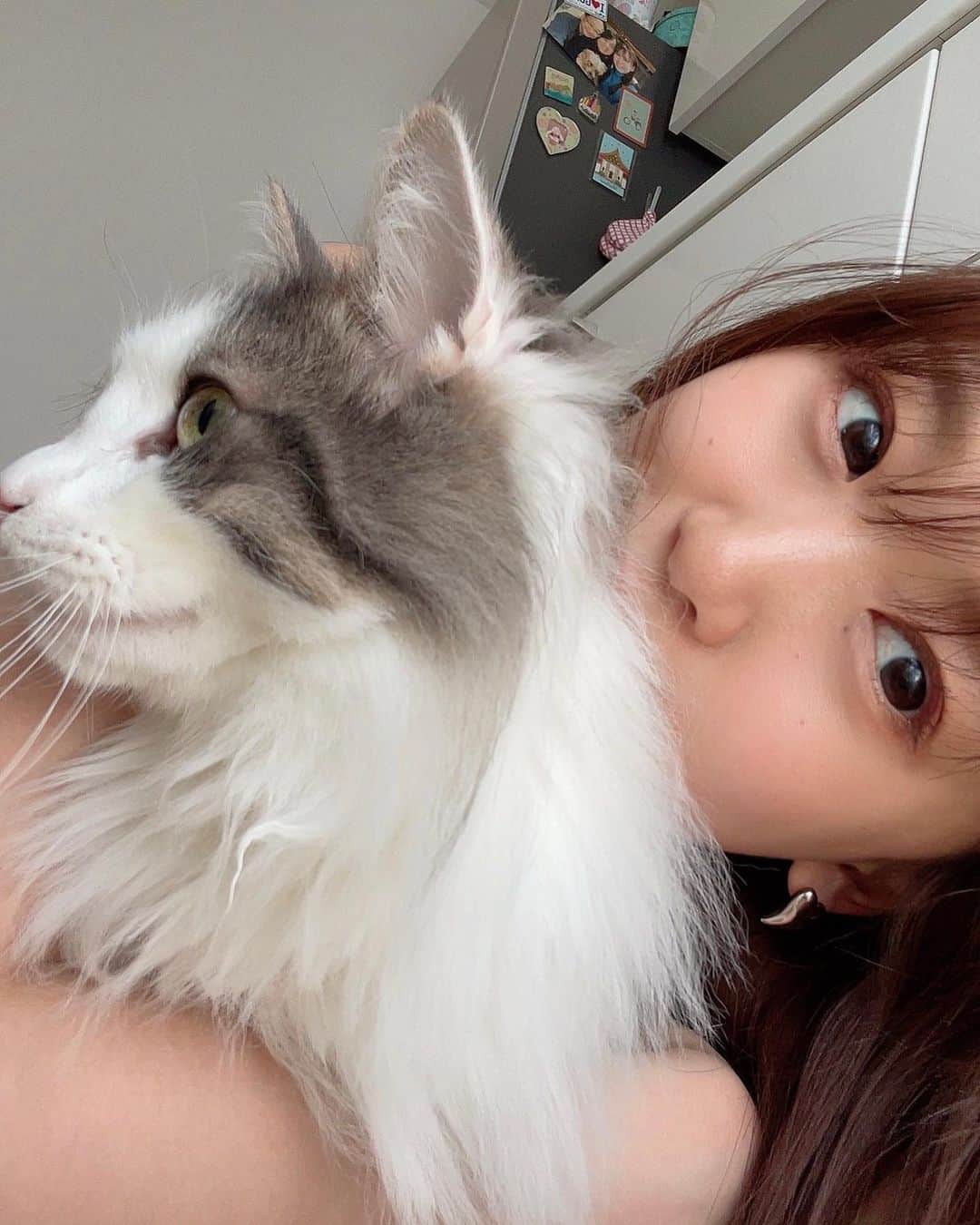 芹澤優のインスタグラム：「・  🤍🤍🤍 My LOVE  #こっそり映り込むママとパパとラナとの家族写真 #思い出のマグネット #タイまた行きたいな」