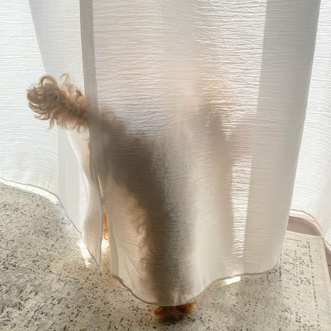 夏焼雅のインスタグラム：「June🌞 All is well.  6月もたのしんでこ*ଘ(੭*ˊᵕˋ)੭*♡」