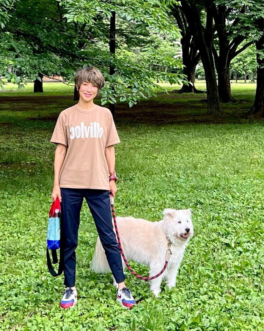 黒田知永子のインスタグラム：「. とろ散歩🐕 薔薇の似合う男🌹  前の投稿の質問に答えて下さった皆様ありがとうございます😊 くだらない話で申し訳ない💧 正解はバッグの口が開いている、開いていない…でした。 私いつもバッグ開けっぱなしで、よく指摘されているのです。たまたま閉まっているのに気がついたので自分的におかしくてクイズにしました笑 半衿の色というお答えも多かったのですが、、確かに半衿の色が違って見えるけど紫陽花のグリーンが映っているのかな？と思います☺︎  #dog #犬 #雑種です #黒田とろろ #とろ散歩 #新緑がまぶしい季節  #黒田知永子  #chiekokuroda」