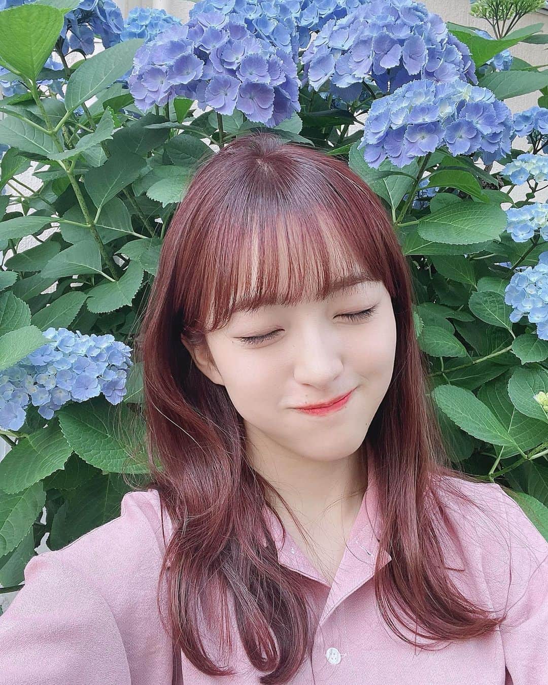 のインスタグラム：「6月だねー☔️  紫陽花を見つけたから写真撮った〜！紫陽花好きなんだよねん。６月はイベントもあるしみんなと話せるから楽しみ🥺  吉祥寺ルーザーズも引き続きよろしくお願いします！！」