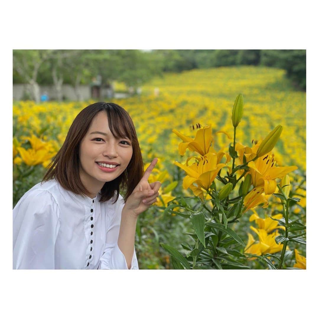 阿部芳美のインスタグラム
