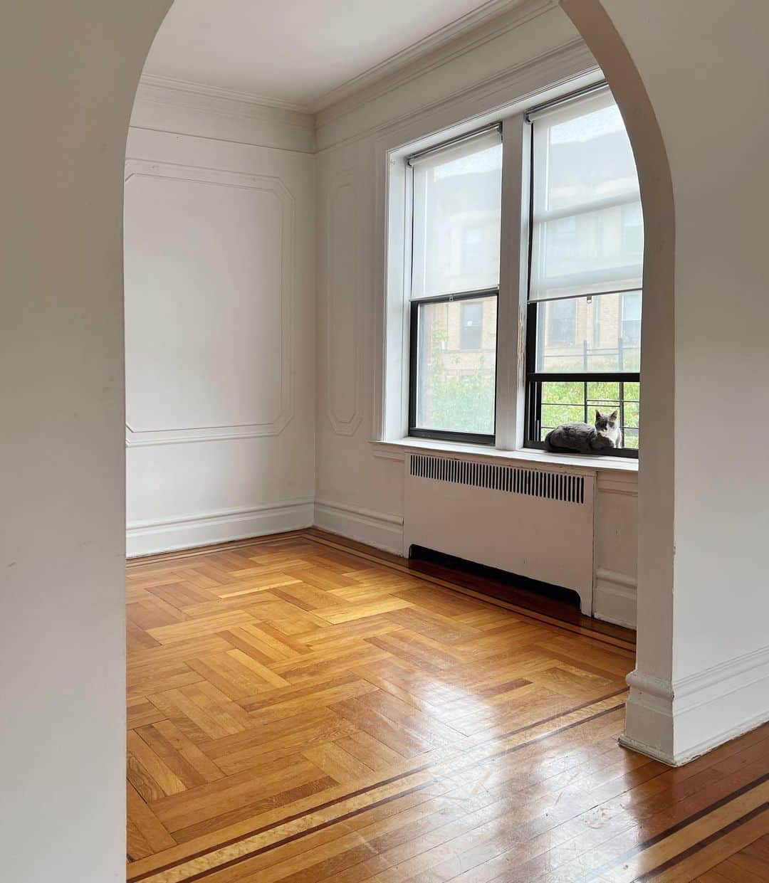 Reed Reederのインスタグラム：「A series of empty rooms」